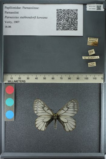 Media type: image;   Entomology 179958